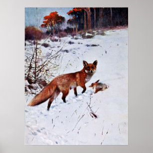 Red Fox Hunting Art Poster
