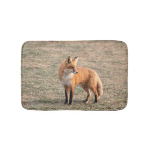 Red Fox in a field Bath Mat