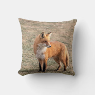 Red Fox in a field Throw Pillow