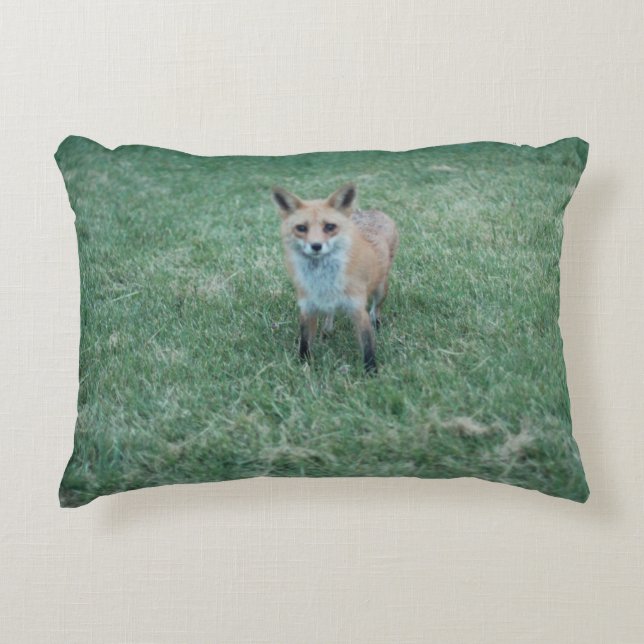 Red fox in California San Jose Accent Pillow (Front)