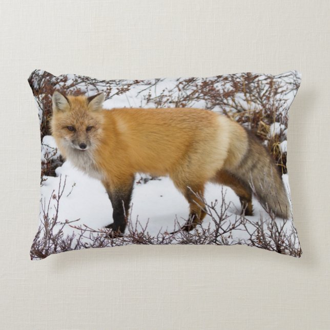 Red Fox in snow in winter Decorative Pillow (Front)