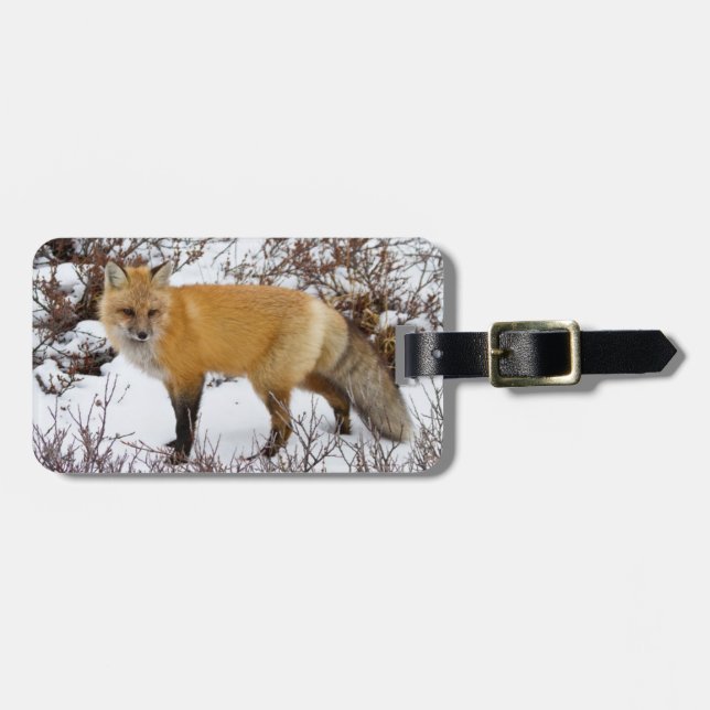 Red Fox in snow in winter Luggage Tag (Front Horizontal)