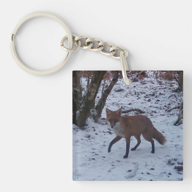 Red Fox in Snow  Keychain (Front)