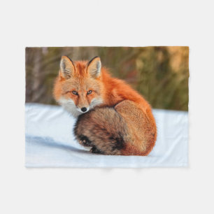 Red Fox In Snow   Yukon Fleece Blanket
