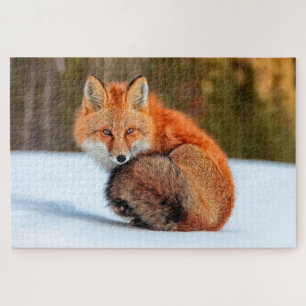 Red Fox In Snow   Yukon Jigsaw Puzzle
