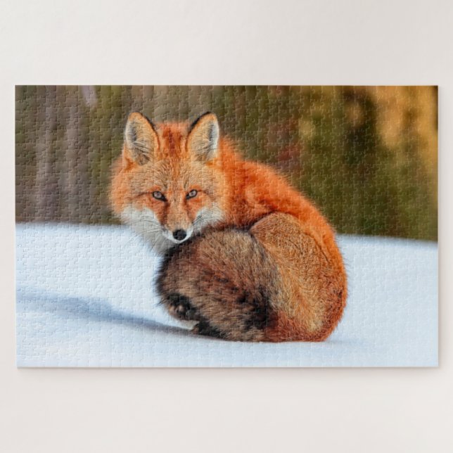 Red Fox In Snow | Yukon Jigsaw Puzzle (Horizontal)