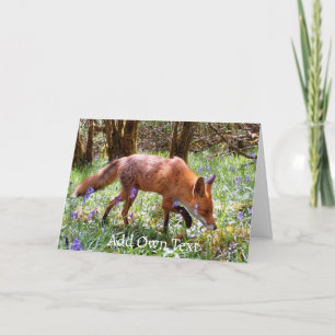 Red Fox in the Bluebells Card