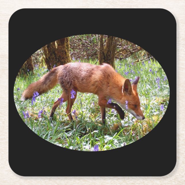 Red Fox in the Bluebells Coaster (Front)
