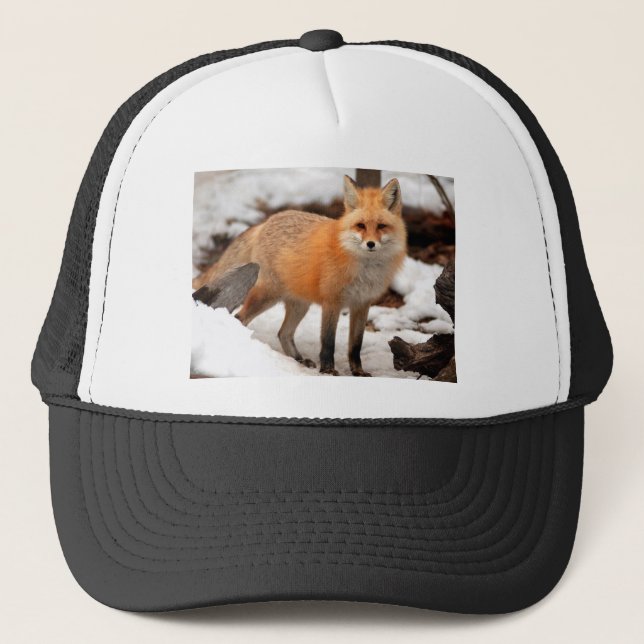 Red fox in the snow trucker hat (Front)