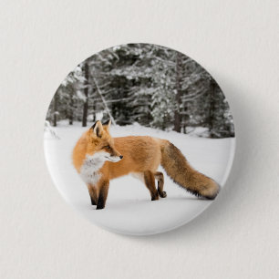 Red Fox in White Snow 2 Inch Round Button