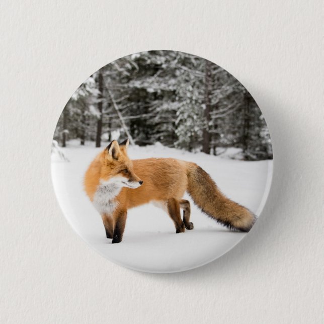 Red Fox in White Snow 2 Inch Round Button (Front)