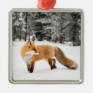 Red Fox in White Snow Metal Ornament