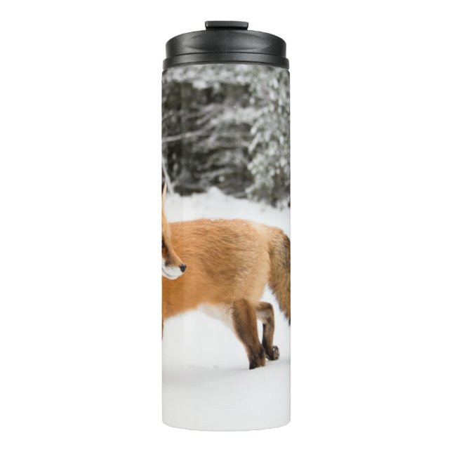 Red Fox in White Snow Thermal Tumbler (Front)