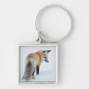Red Fox in Winter Keychain