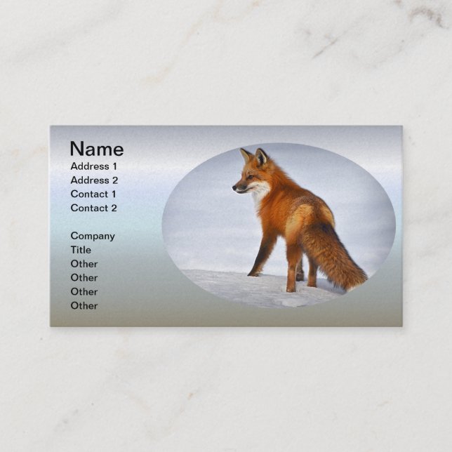 Red Fox in Winter Snow Business Card (Front)