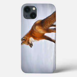 Red Fox in Winter Snow iPhone 13 Case