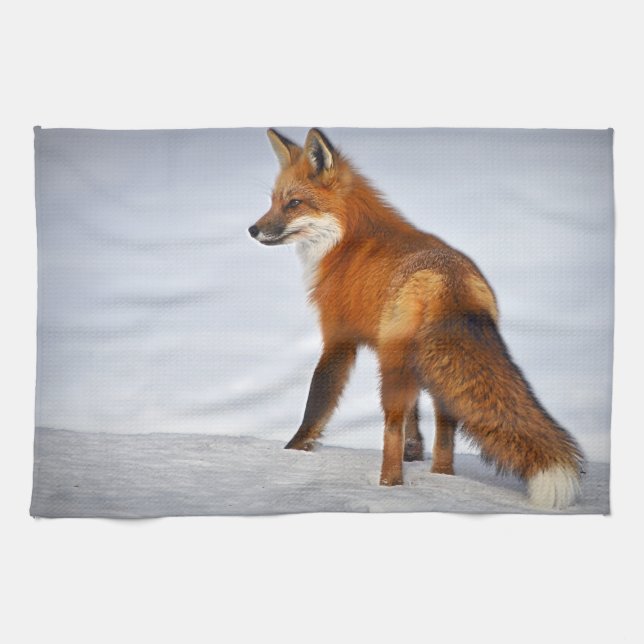 Red Fox in Winter Snow Kitchen Towel (Horizontal)