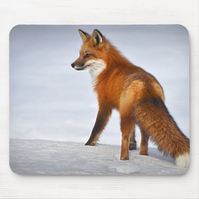 Red Fox in Winter Snow Mouse Pad (Front)