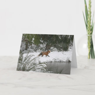 Red Fox in Winter Wonderland Card