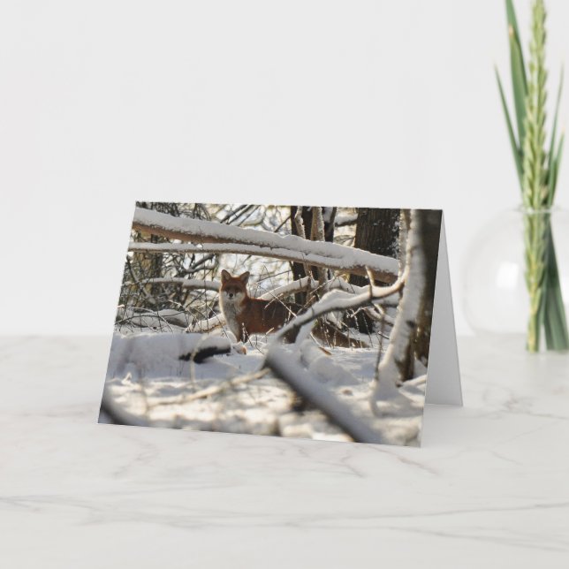 Red fox in winter wood Christmas card (Front)