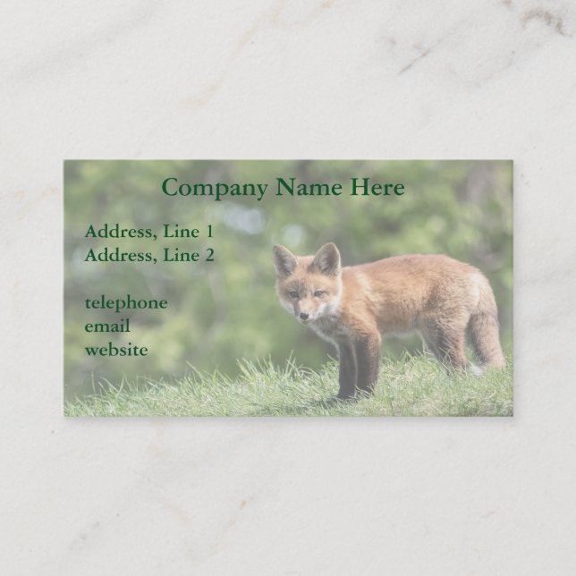 Red Fox Kit Business Card (Front)