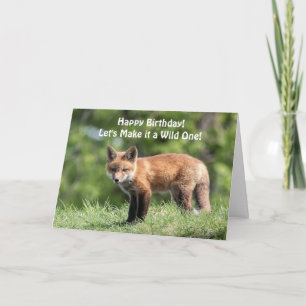 Red Fox Kit Card