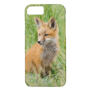 Red Fox Kit in grass near den iPhone 8/7 Case