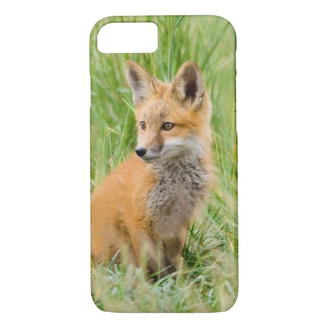 Red Fox Kit in grass near den Case-Mate iPhone Case (Back)