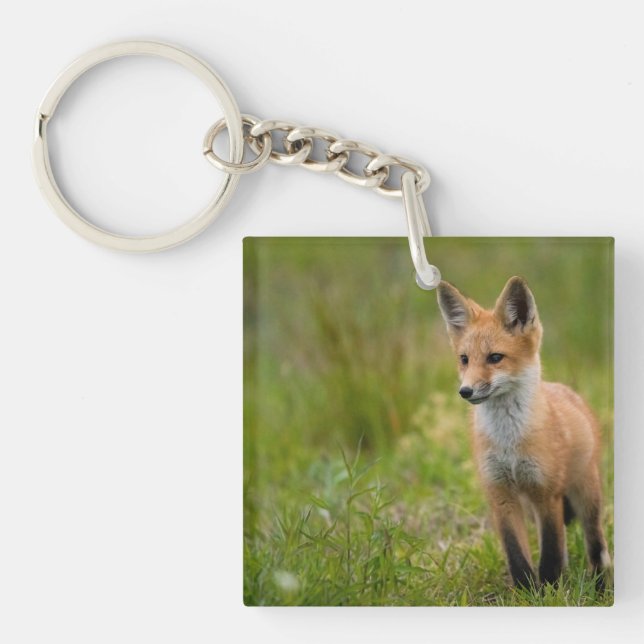 Red Fox Kit In Grassy Meadow Keychain (Front)