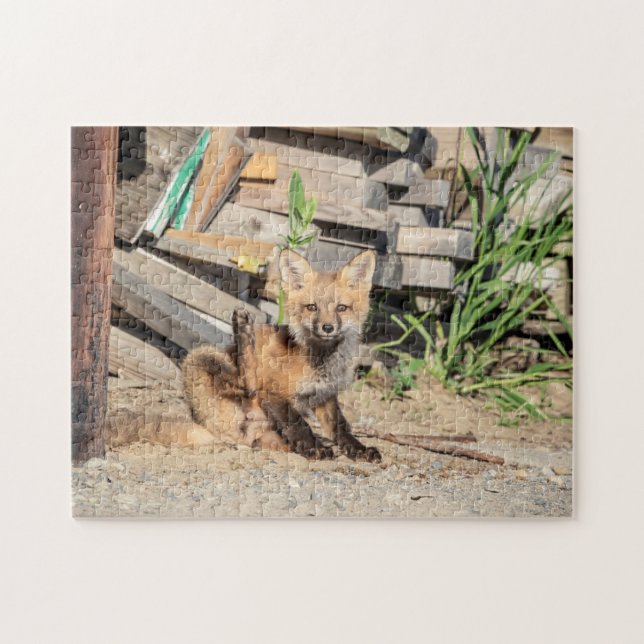 Red Fox Kit in the Adirondacks Jigsaw Puzzle (Horizontal)