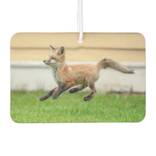 Red Fox Kit in The Hudson Valley Air Freshener