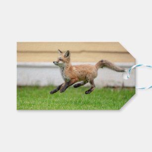 Red Fox Kit in The Hudson Valley Gift Tags