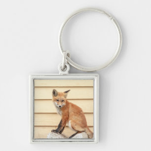 Red Fox Kit in The Hudson Valley Keychain