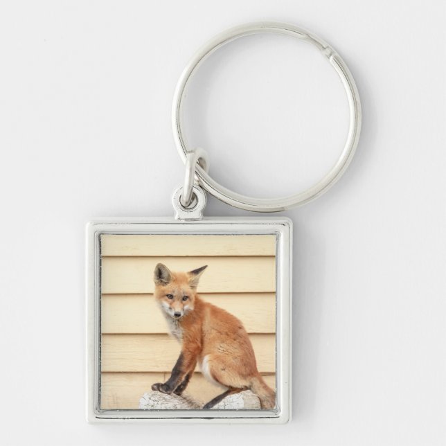 Red Fox Kit in The Hudson Valley Keychain (Front)