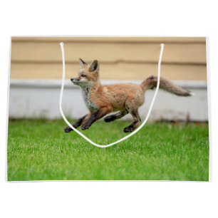 Red Fox Kit in The Hudson Valley Large Gift Bag