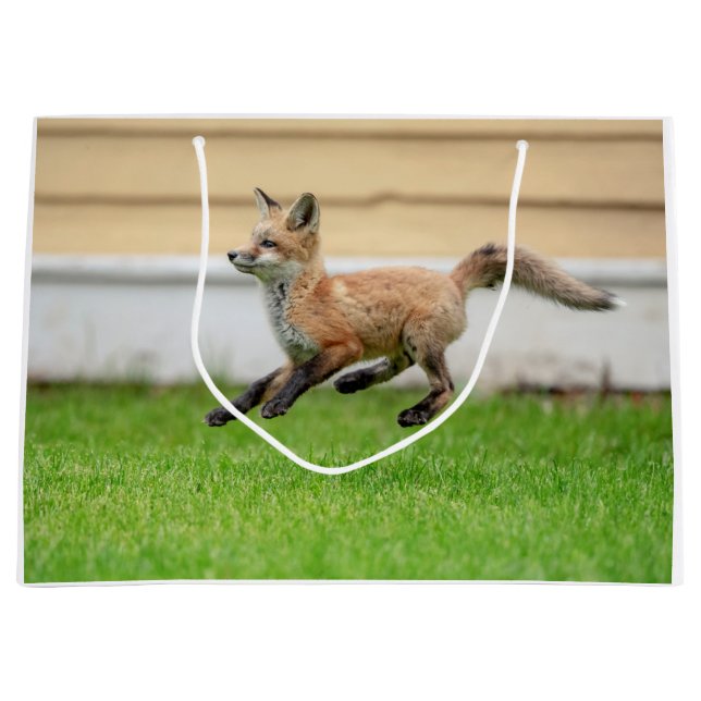 Red Fox Kit in The Hudson Valley Large Gift Bag (Front)