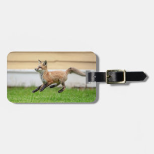 Red Fox Kit in The Hudson Valley Luggage Tag