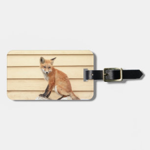 Red Fox Kit in The Hudson Valley Luggage Tag
