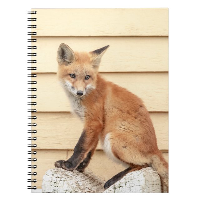 Red Fox Kit in The Hudson Valley Notebook (Front)