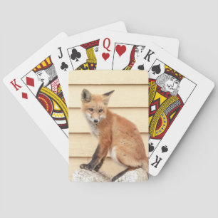 Red Fox Kit in The Hudson Valley Playing Cards