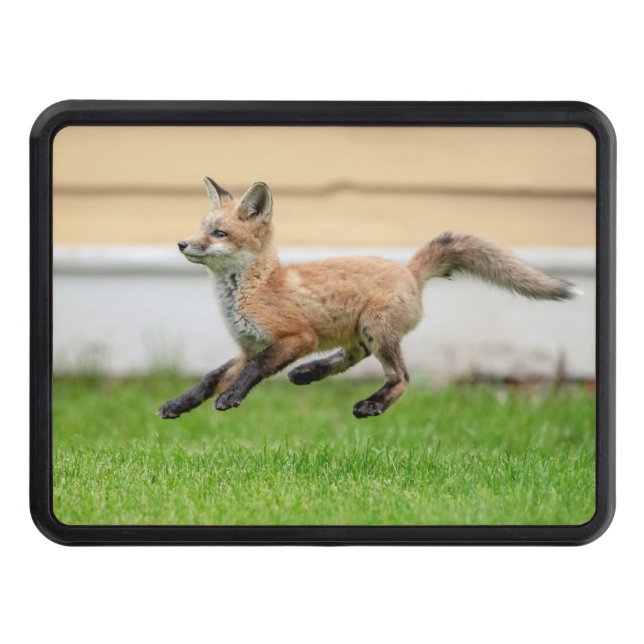Red Fox Kit in The Hudson Valley Trailer Hitch Cover (Front)