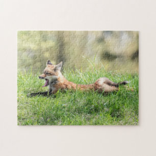 Red Fox Kit Jigsaw Puzzle