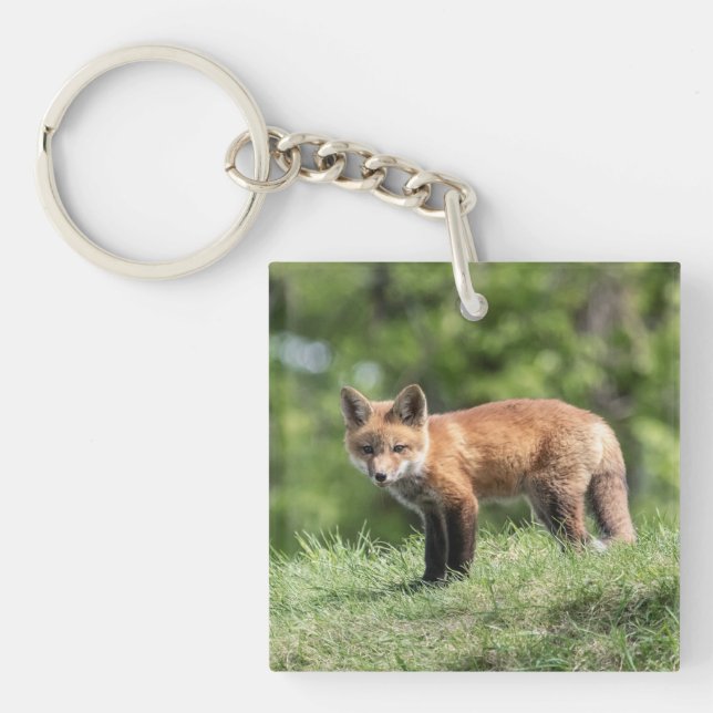 Red Fox Kit Keychain (Front)