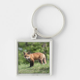 Red Fox Kit Keychain
