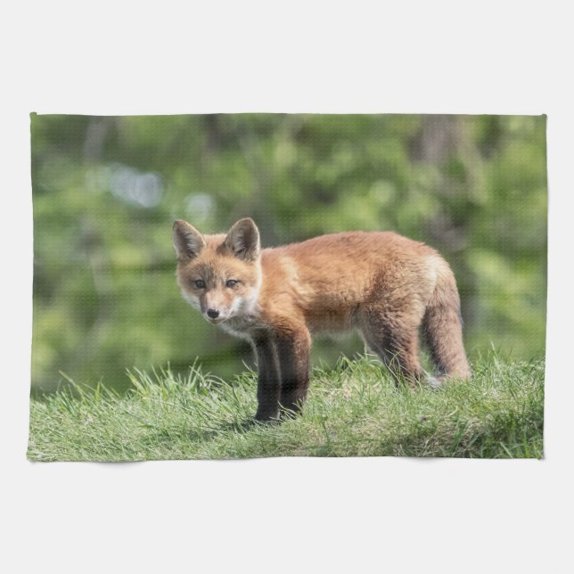 Red Fox Kit Kitchen Towel (Horizontal)