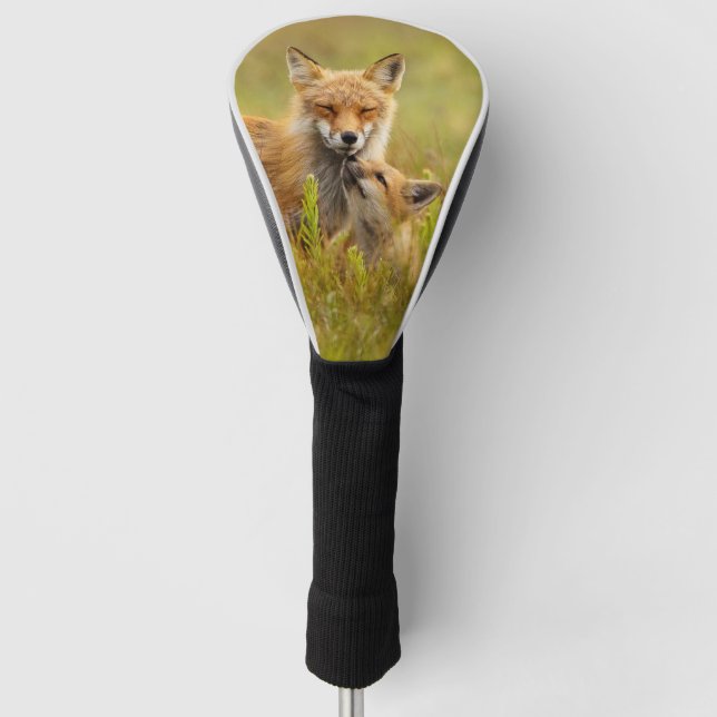 Red Fox Kit Looking Up to Momma Golf Head Cover (Front)