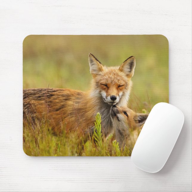 Red Fox Kit Looking Up to Momma Mouse Pad (With Mouse)