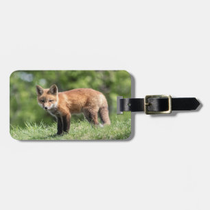 Red Fox Kit Luggage Tag