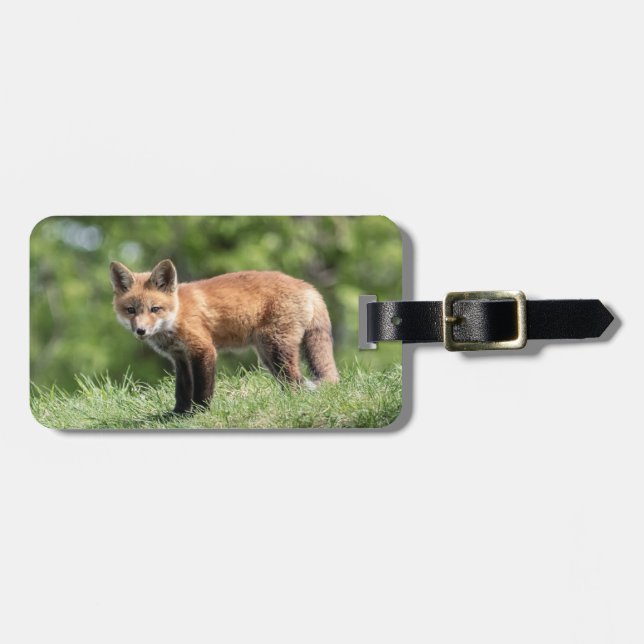 Red Fox Kit Luggage Tag (Front Horizontal)