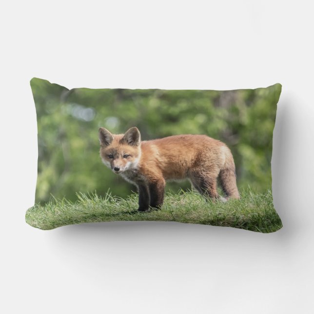 Red Fox Kit Lumbar Pillow (Front)
